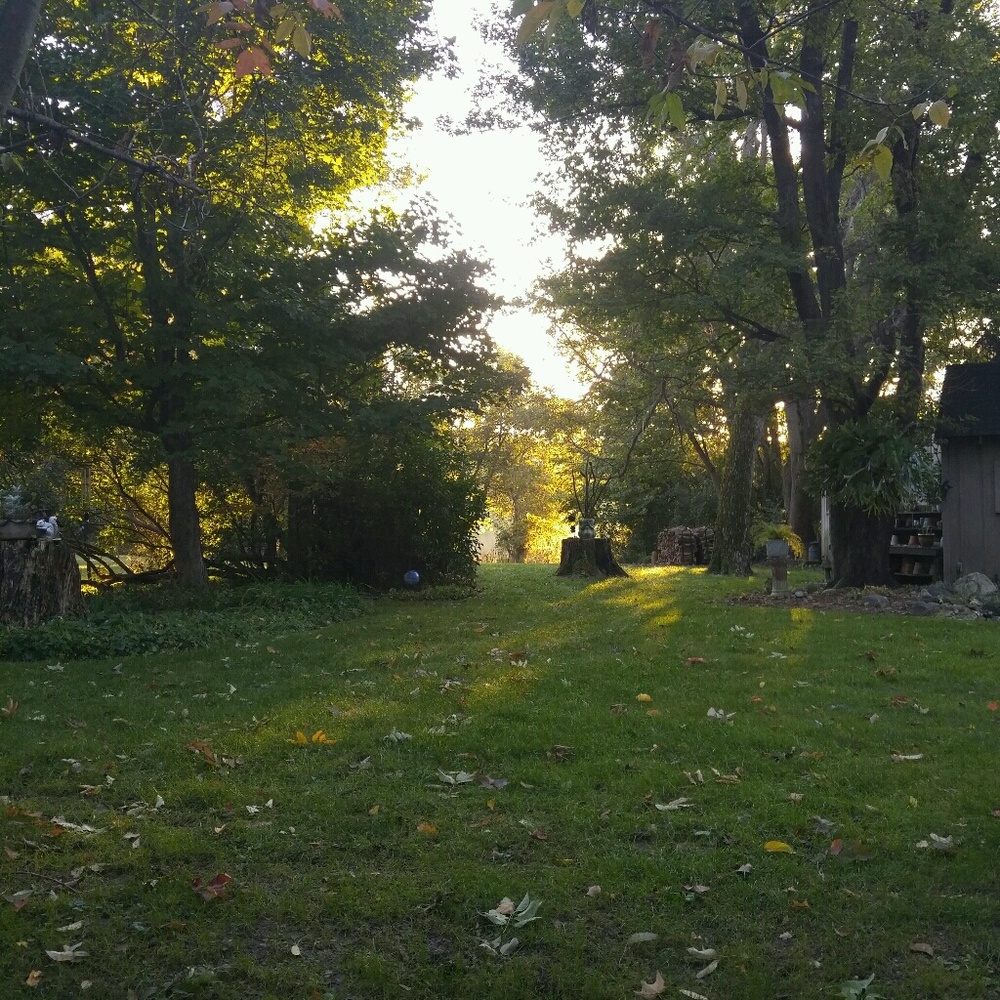 Meet your Posher, Brynne